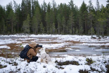 BTS of the Human Prompt