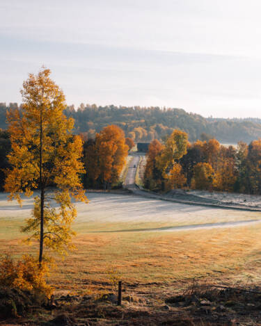 Linus Bergman | Nikon magazine